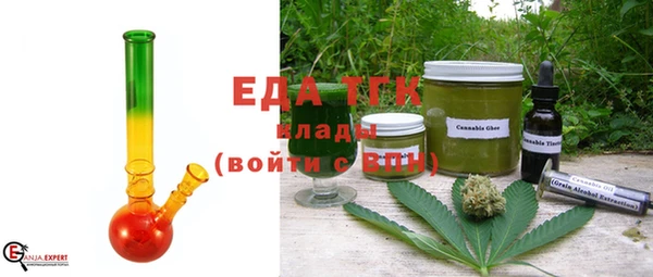 индика Володарск