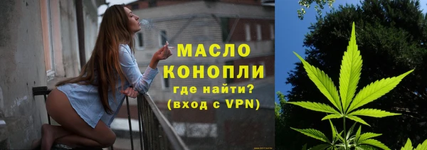 индика Володарск