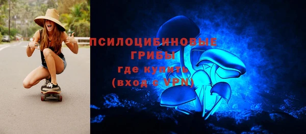 гашик Бородино
