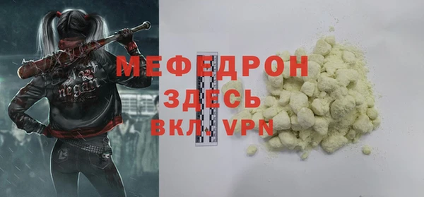 индика Володарск