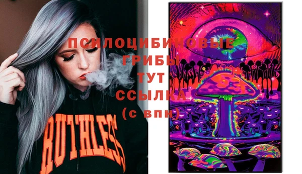 индика Володарск
