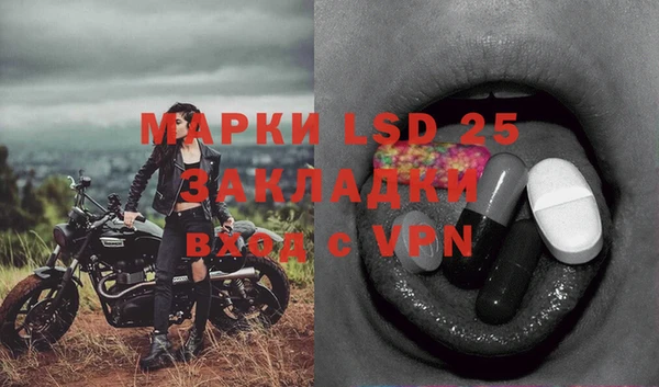 индика Володарск