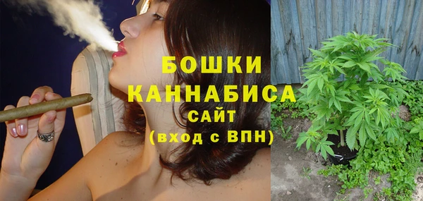 индика Володарск