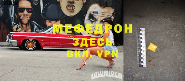 индика Володарск