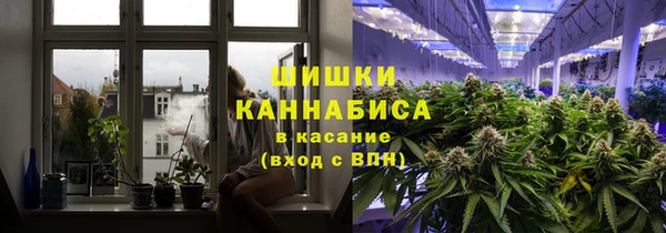 стафф Волосово