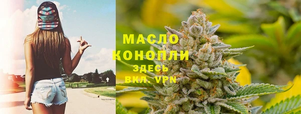 индика Володарск